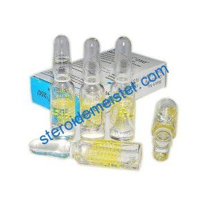 SUSTANON Organon in 250 Karachi Pakistan 1 Ampulle